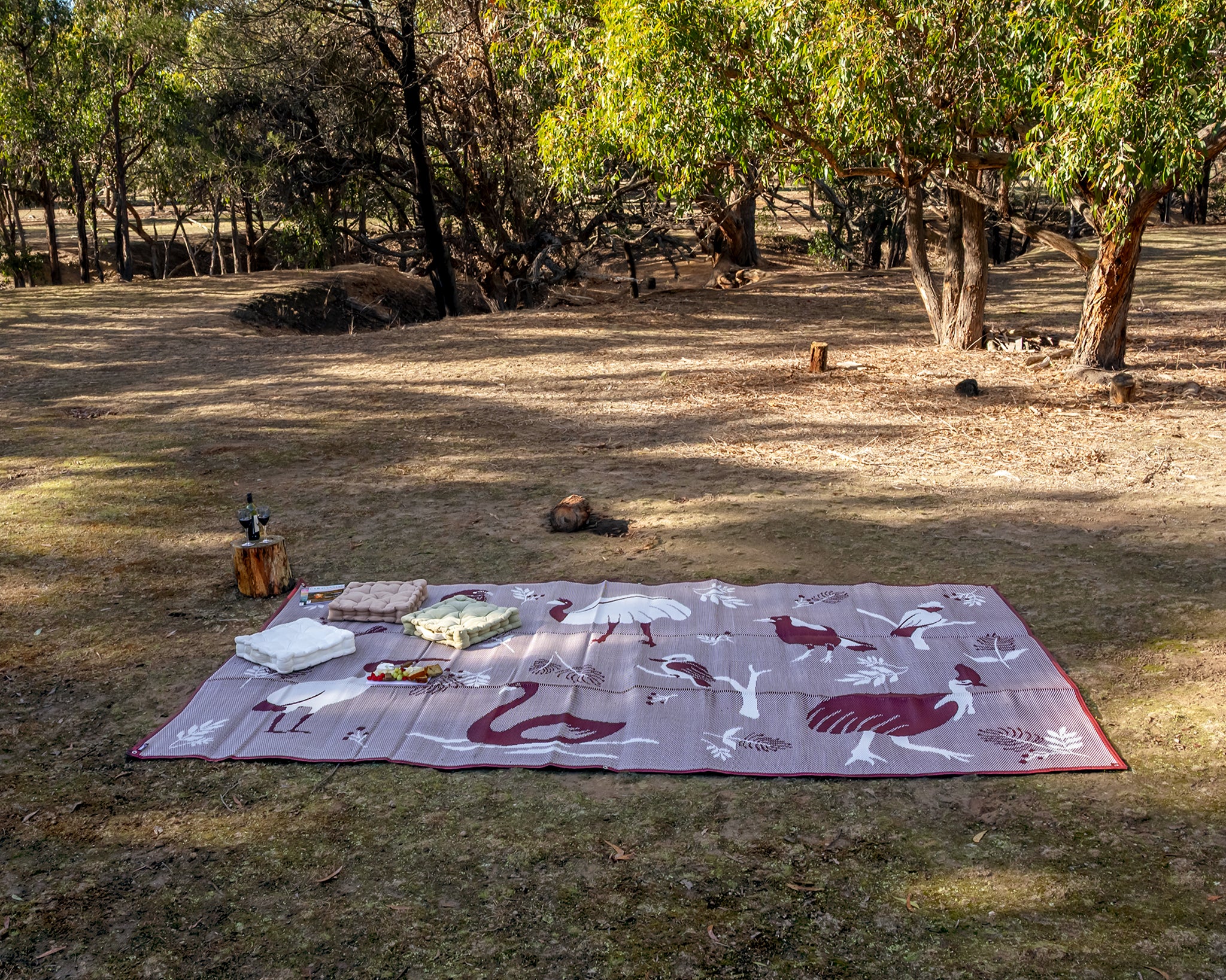 Outdoor Mat - Native Birds