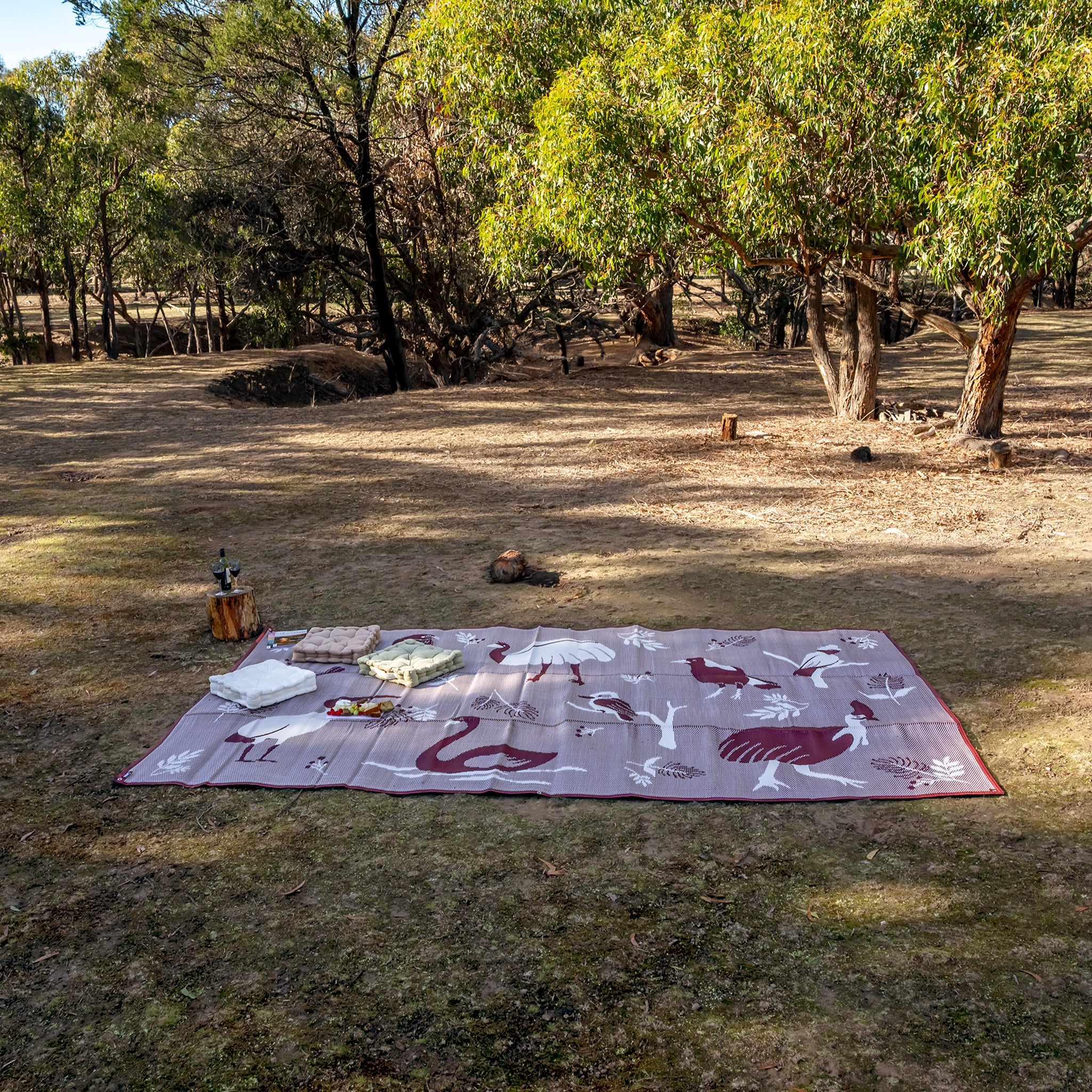 Outdoor Mat - Native Birds